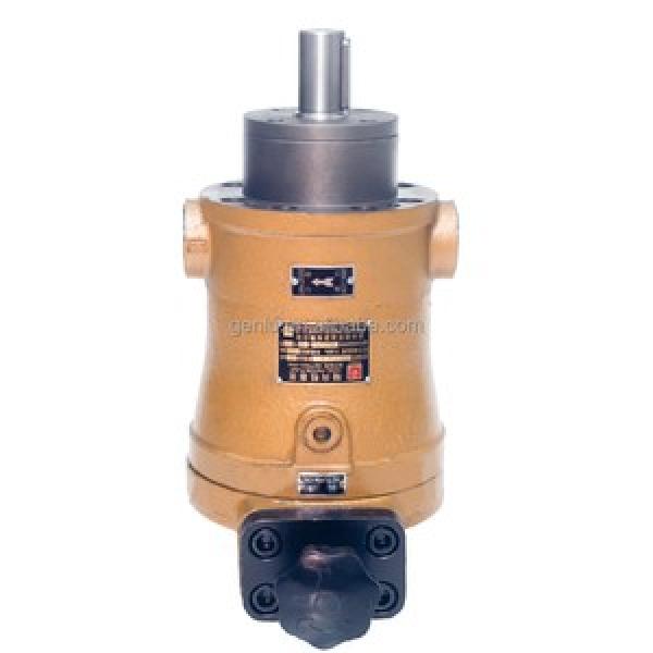 250PCY14-1B  Series Variable Axial Piston Pumps #1 image