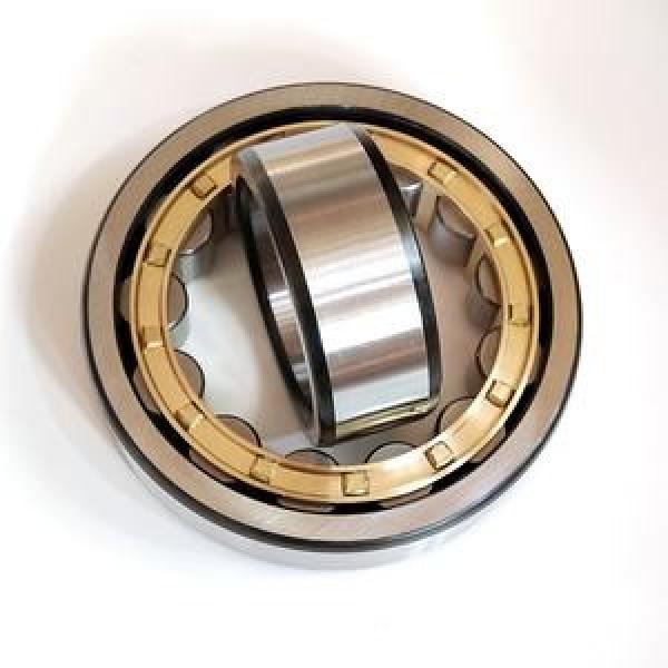 22238EK NACHI Calculation factor (Y1) 2.39 190x340x92mm  Cylindrical roller bearings #1 image