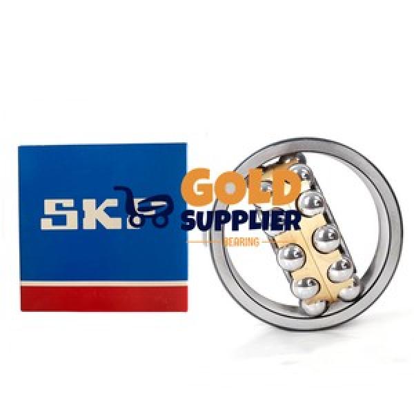 SKF 1309 EKTN9 #1 image